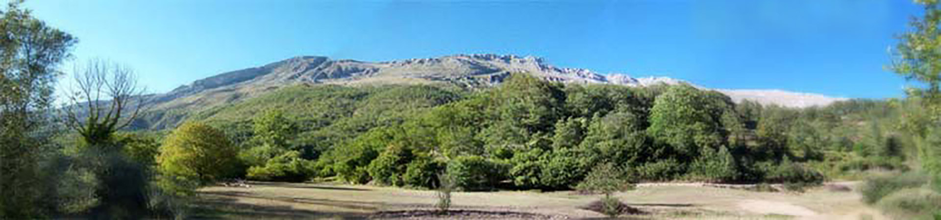 The garden at Le Foulon lies at the foot of Mount Cheiron.