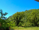 alexi garden room view