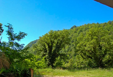 alexi garden room view