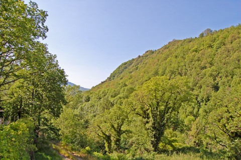 La vue vers le sud sur la vall&eacute;e du loup.