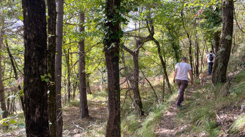 Walking & Hiking around Le Foulon