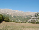 cheiron view