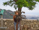 gourdon medusa