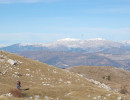dsc 0013 o xl