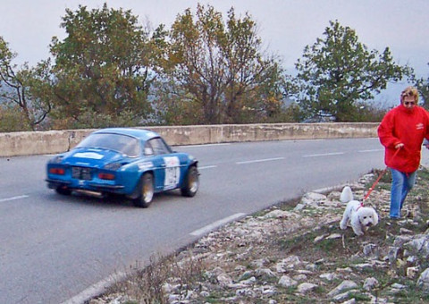 drive close to the action