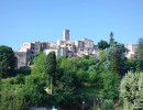 le bar sur loup