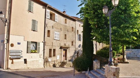 le bar sur loup