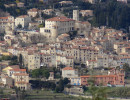le bar sur loup