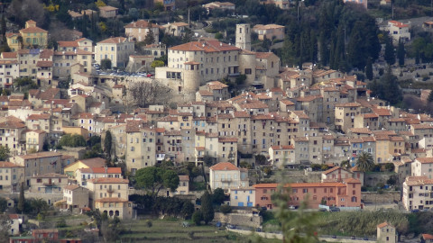 le bar sur loup