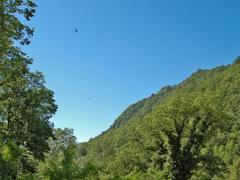 view