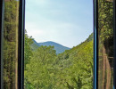 La vue vers le sud jusqu'au sommet de la montagne des Courmettes qui culmine &agrave; 1200m.