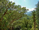 fablo luxury room view