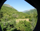 wolf suite round window