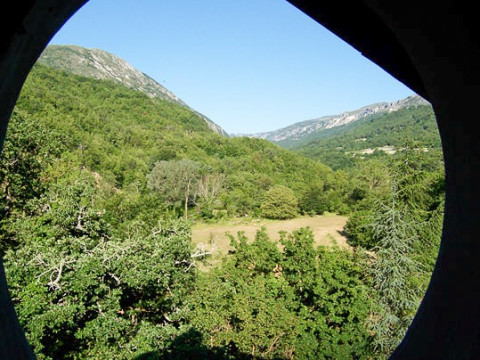wolf suite round window