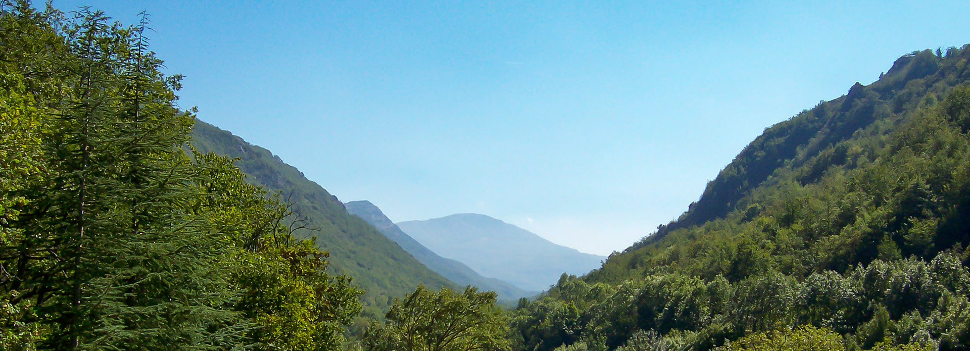 View from the Wolf Suite down the valley.